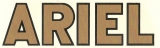 AR14 ADESIVO ARIEL